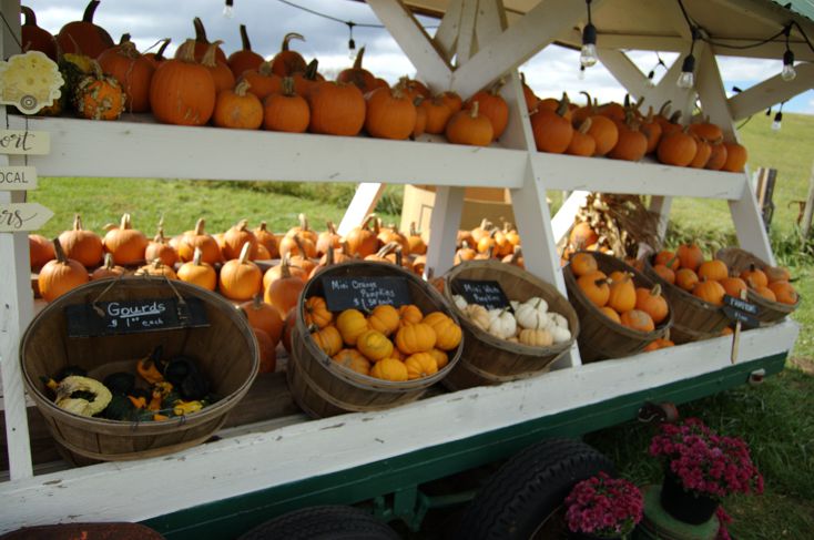 Produce Stand Up Close